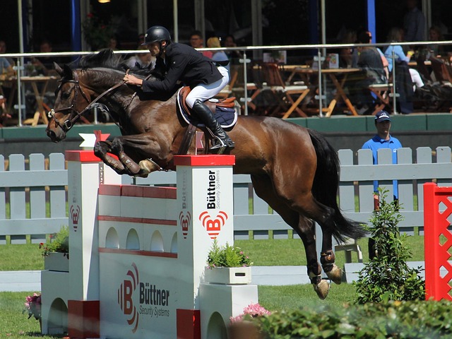 芬奇：主力球员上半场必须努力防守，他们打得太随意了
